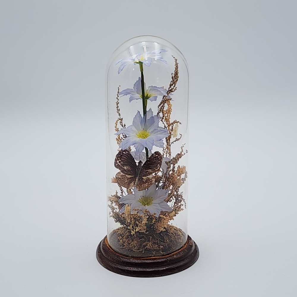 Vintage Butterfly Mounted on Silk Flowers & Dried Glass Dome Diorama Wood Base